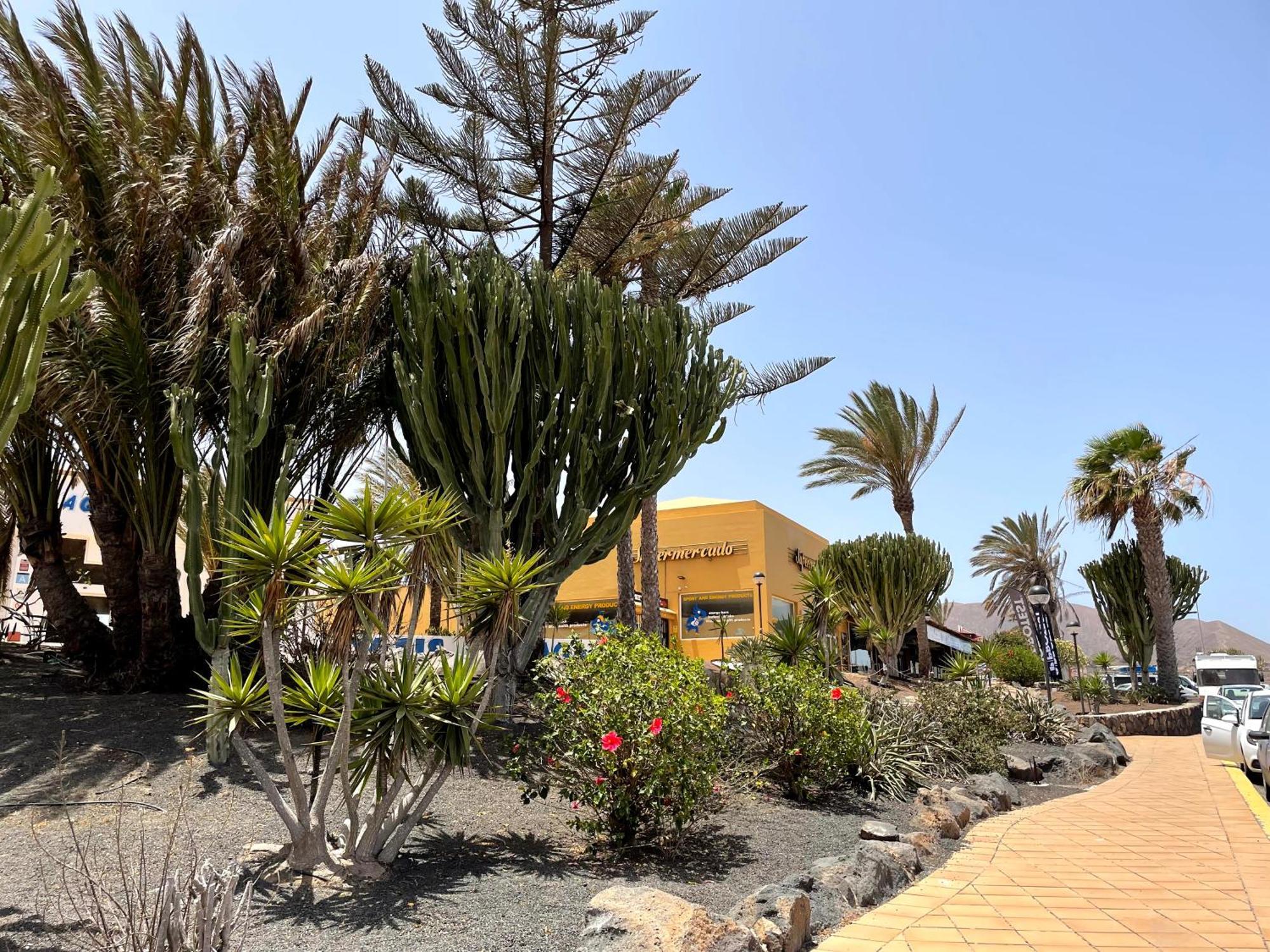 Casa Relax Papagayo Corralejo Irent Fuerteventura Lägenhet Exteriör bild